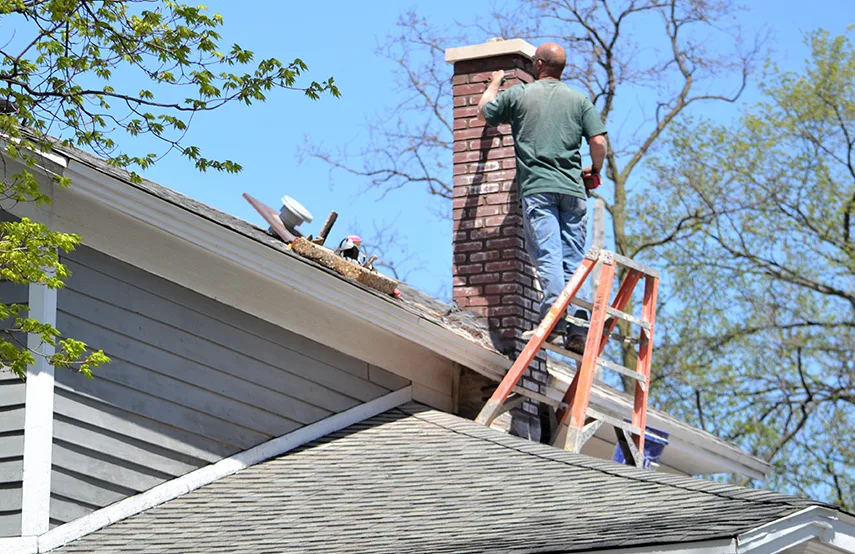 Chimney & Fireplace Inspections Services in North Plainfield, NJ